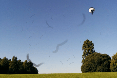Floaters in vision