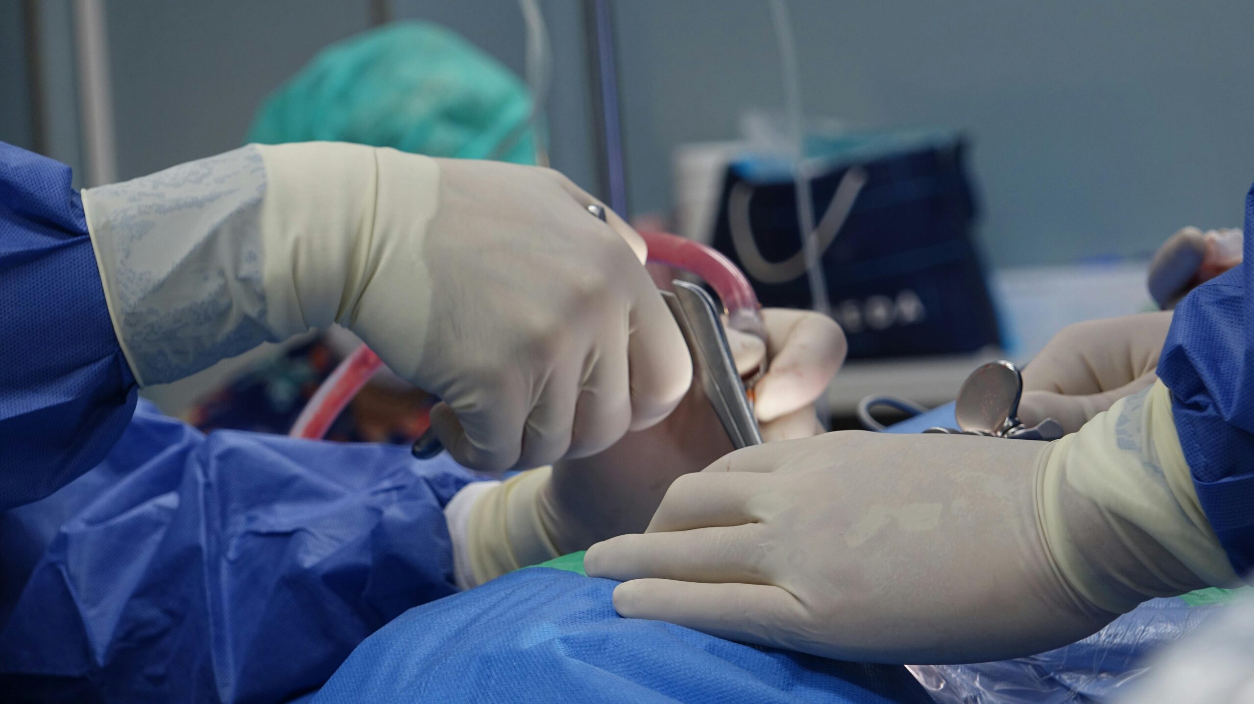 pexels-duksi-30964530